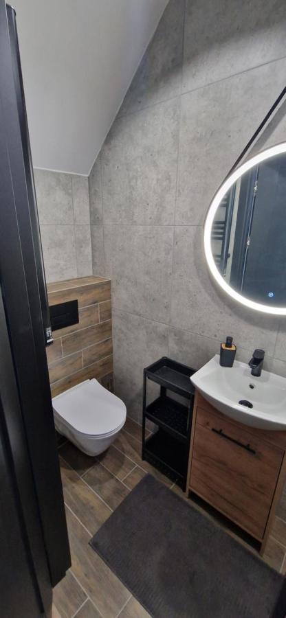 Apartament Ksiaz シュフィエボジツェ エクステリア 写真